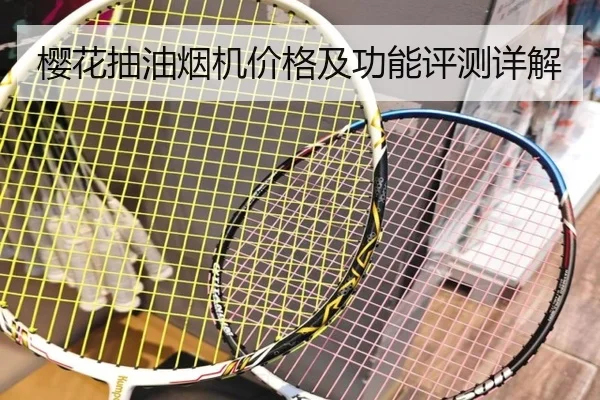 樱花抽油烟机价格及功能评测详解