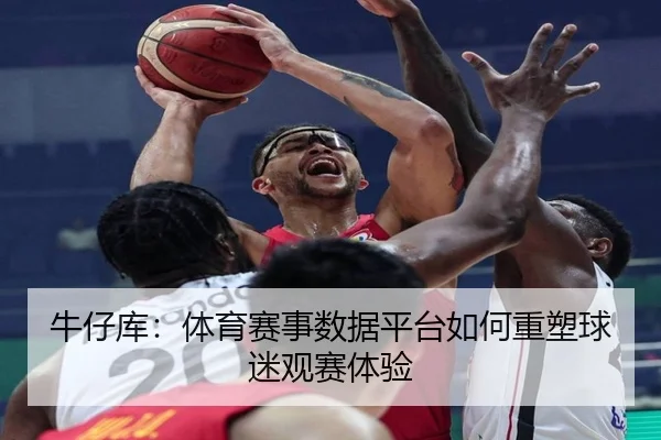 牛仔库：体育赛事数据平台如何重塑球迷观赛体验